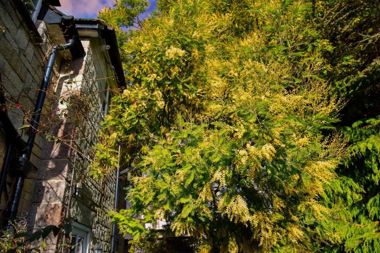Ward Avenue B&B Каус Экстерьер фото